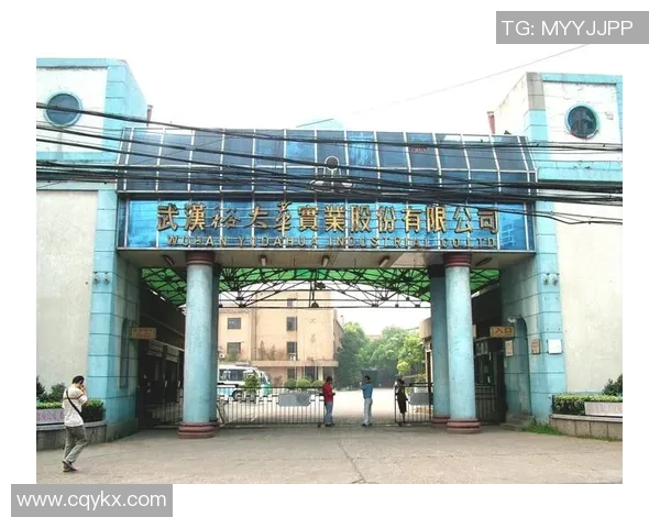 武汉乒乓球队整体压制革新之路全面解析与未来展望 武汉乒乓球队整体压制革新之路全面解析与未来展望