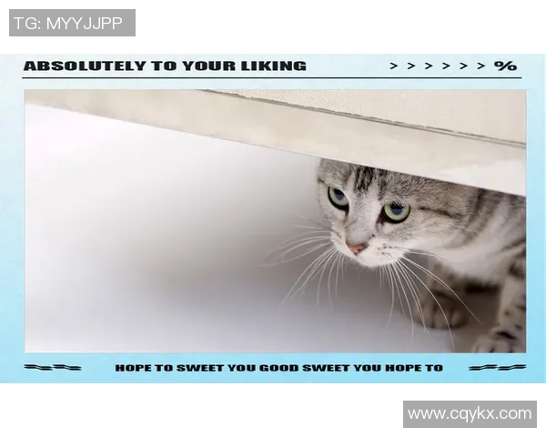 运动数据乒乓球新手必看从零基础到入门高手的全面指南与技巧分享